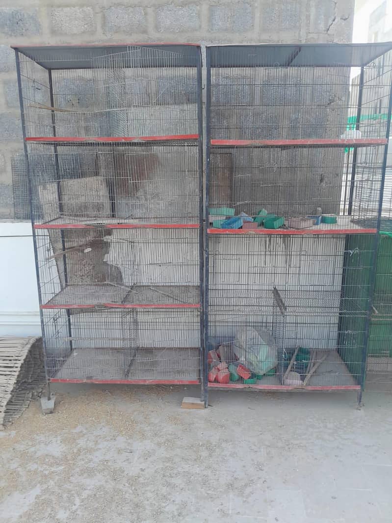 8 portion 2 cages 5