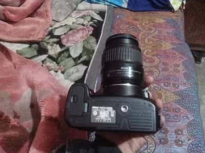 Canon 3100