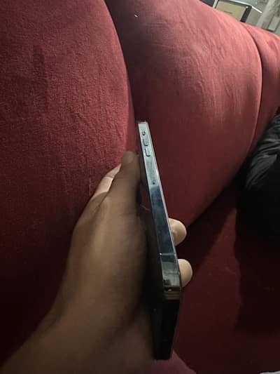 12 pro max 256gb factory