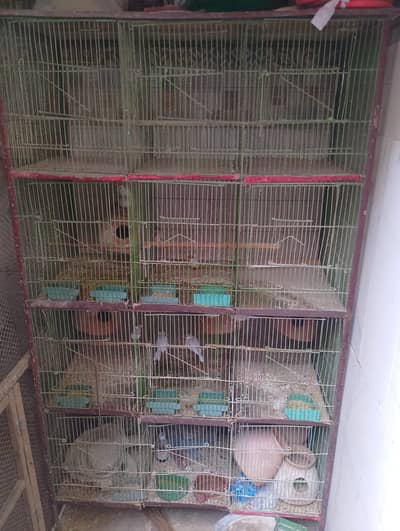 12 portion cage location gizri Karachi