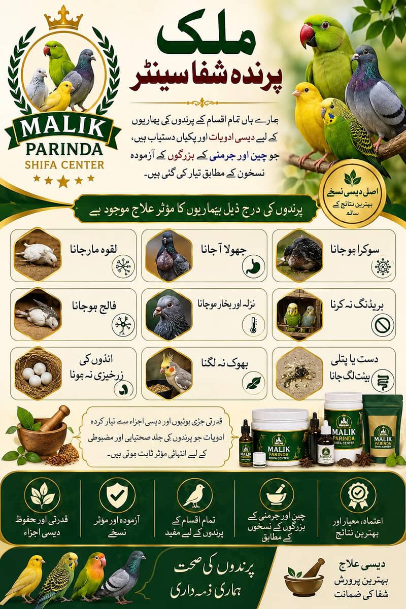 چین و جرمنی کے آزمودہ نسخوں کے مطابق تیار شدہ دیسی ادویات 0