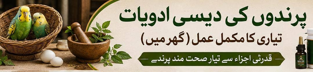 چین و جرمنی کے آزمودہ نسخوں کے مطابق تیار شدہ دیسی ادویات 1