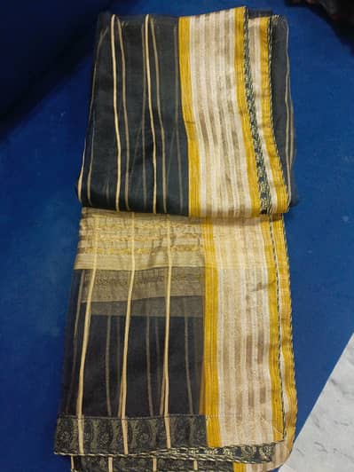 chiffon and organza dupattas