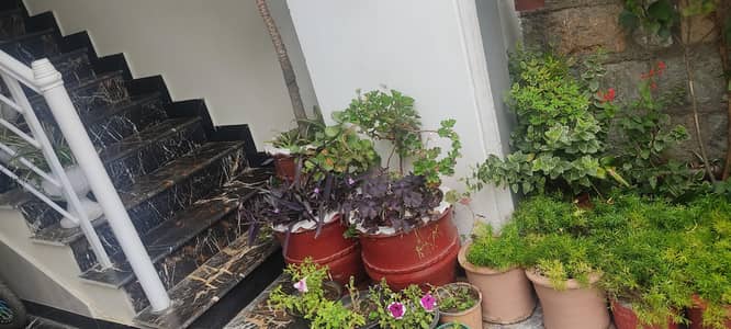 In-house Room for rent