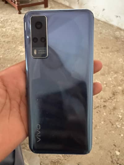vivo y31