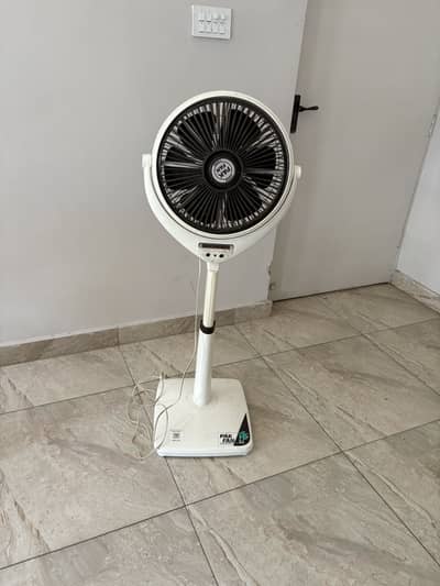 Louvre Fan