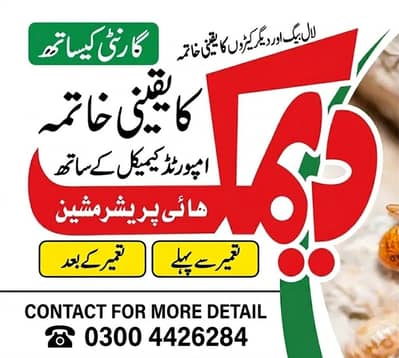 Budbugs spray, pest control service, Deemak Control spray&treatment