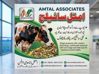 Corn Silage & Mixed Feed | Animal Feed | Wanda | Cattle Nutrition
