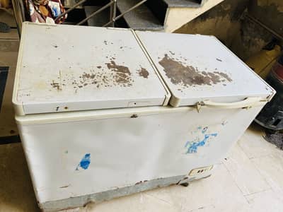 Deep freezer body for fish store