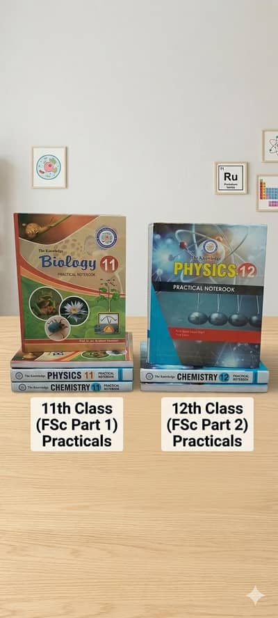 Set of 3 Practical Notes Book For Class 11 And 12 [All Subjects]