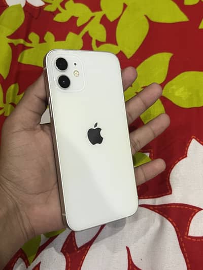 iPhone 12 dual sim pta approved