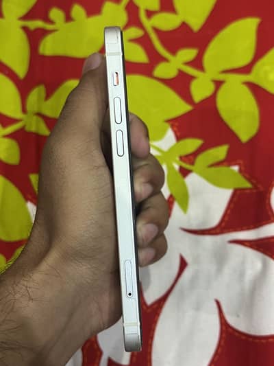 IPhone 12 dual sim pta approved