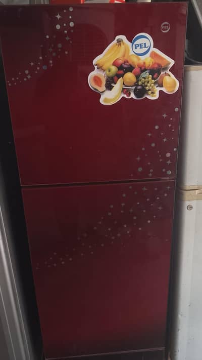 PEL Refrigerator - Bilkul Saaf Halat Mein!