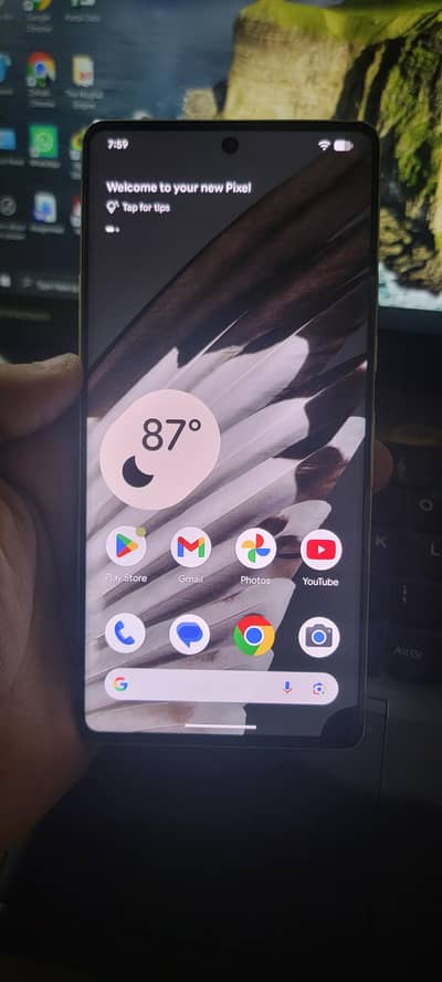 pixel 7 pro doted