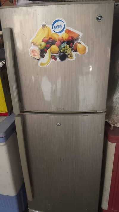 PEL Medium Size Double Door Fridge for Sale