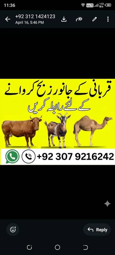 Professional Butcher Services in lahore  | Fresh & Hygienic Qasai