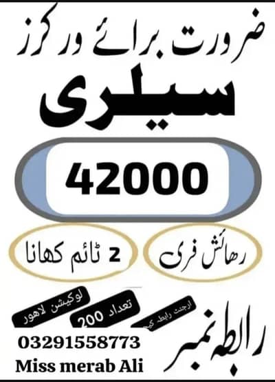 need urgent staff innovative biscuits packing male and female jobs