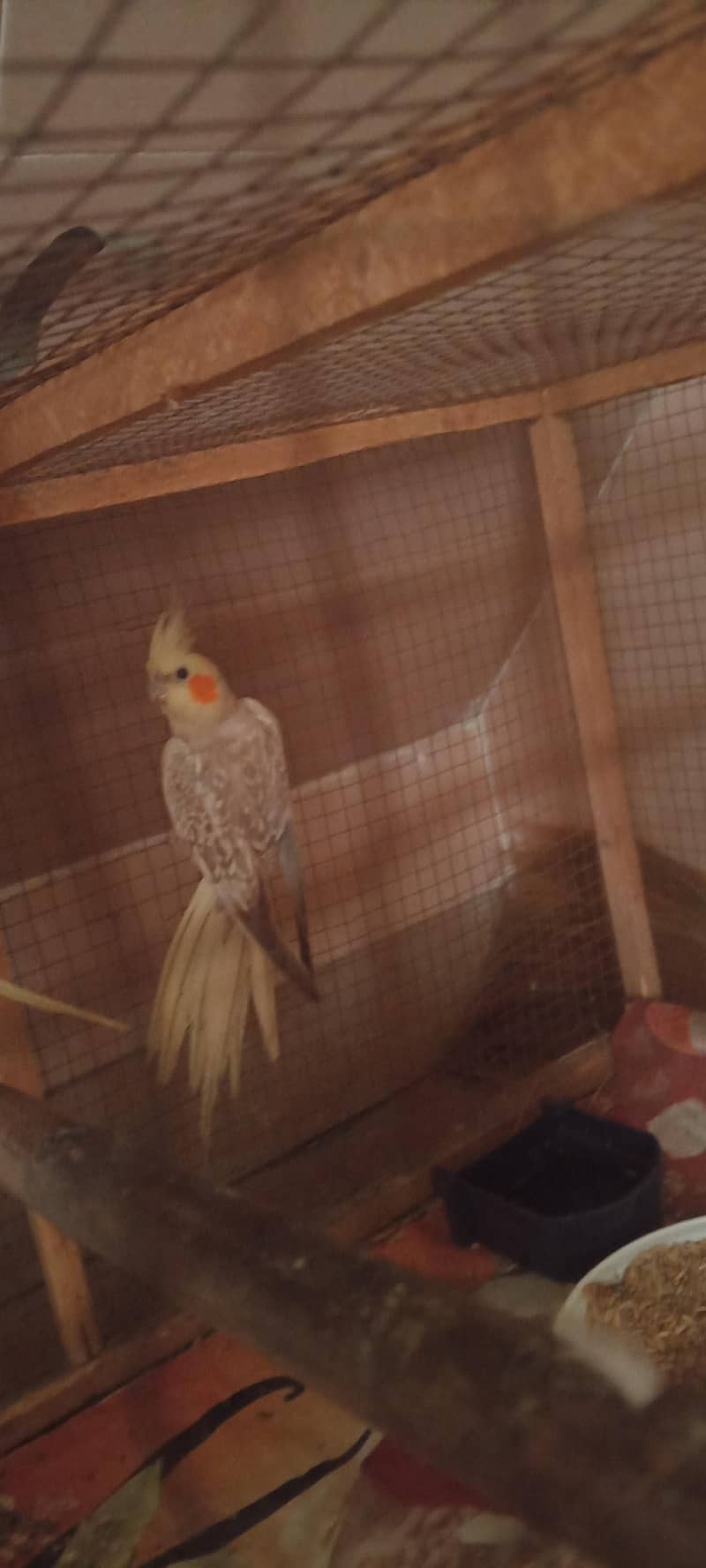 brider pair full active 1