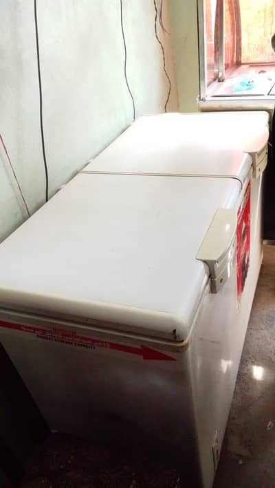 double door freezer 10/9 condition