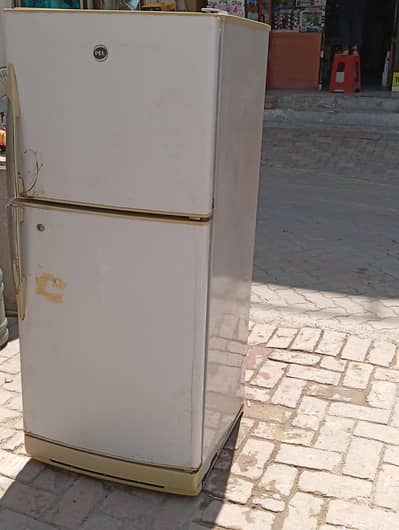 pel double door medium size fridge jenion compressor zbrdst cooling