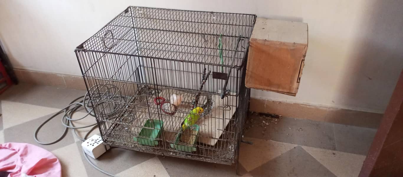 cage. 0