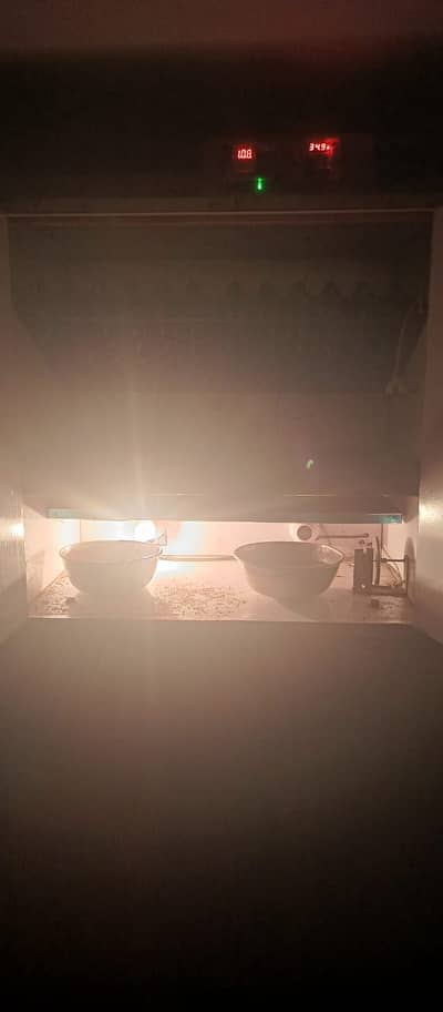 56 Egg Incubators Full Automatic 90% Ruslat