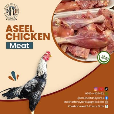 Aseel Meat / Duck Meat / Rabbit Meat / Desi Chicken / Quail meat