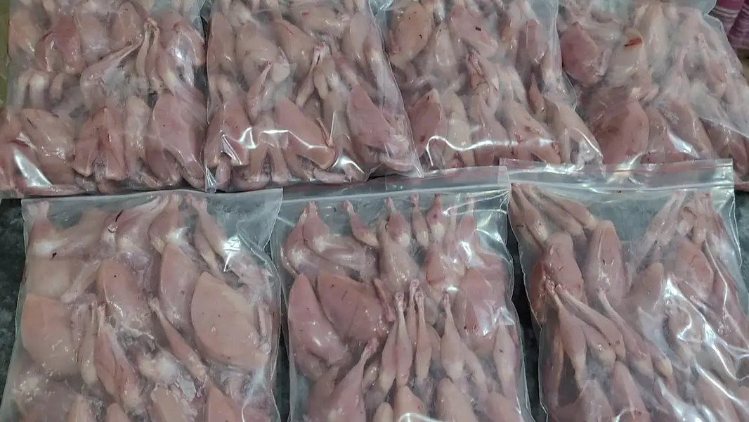 Fresh Desi Btair / Desi Quail / Batir — photo 4