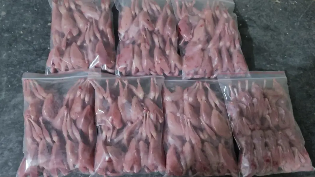 Fresh Desi Btair / Desi Quail / Batir — photo 5