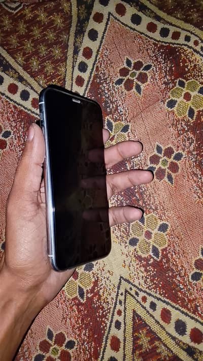 whatsapp number 03164221911