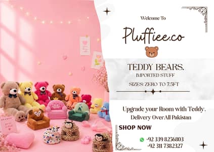Large and Small Teddy Bears & Stuffed Animals Set