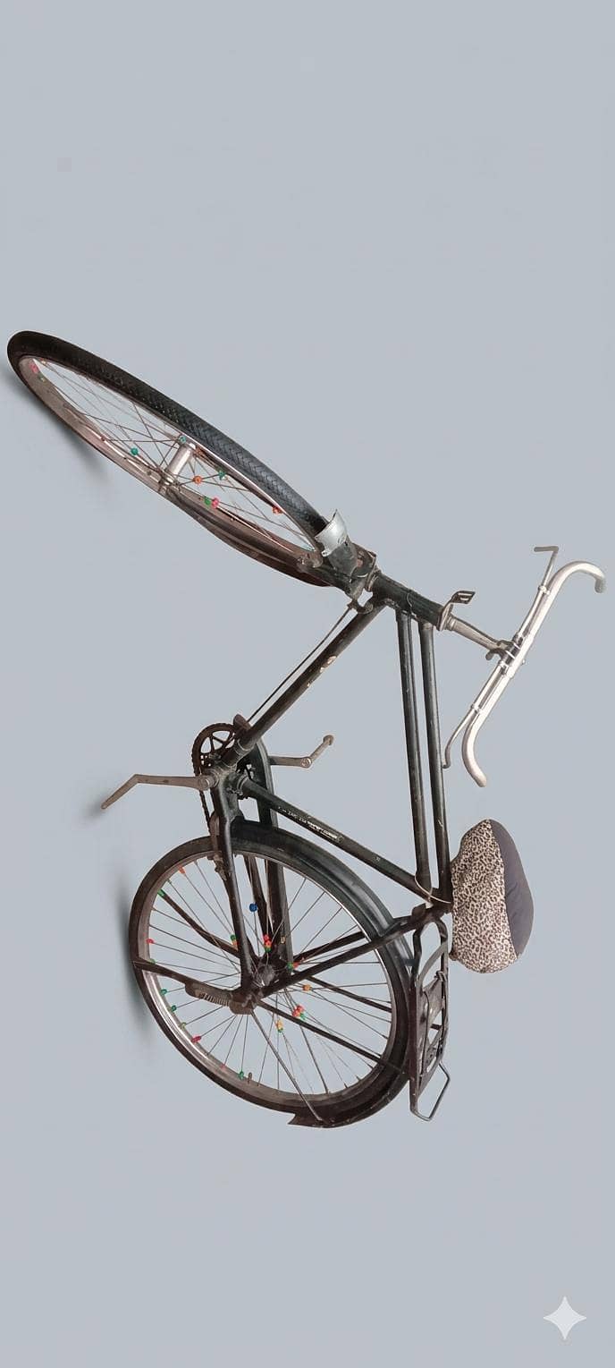 Bicycle 1