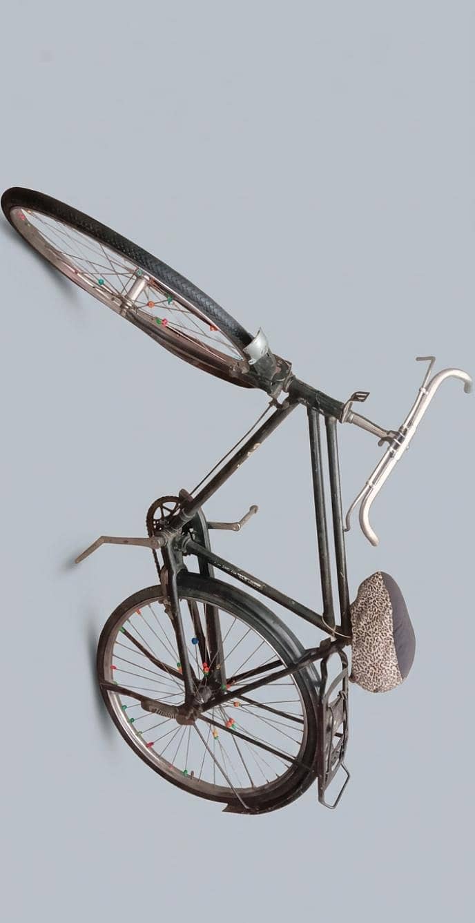 Bicycle 2