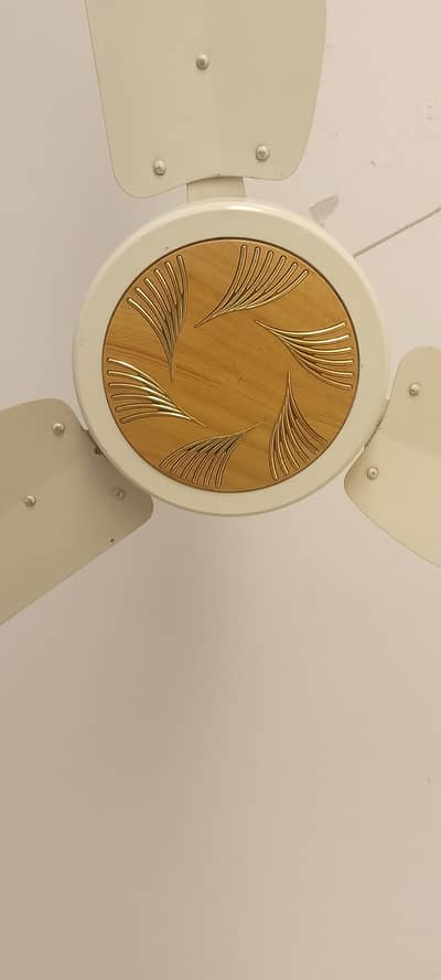 celling fan use 5 month motor coper