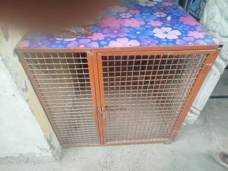 SOLID CAGE FOR SALE L SHAPE 0