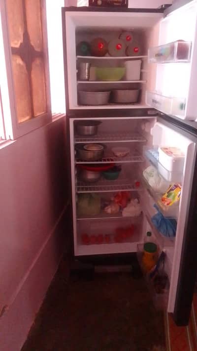 Haier HRF E-Star Series Fridge | 10 Years Warranty | Emerald Green