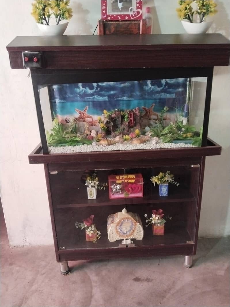 equarium 1