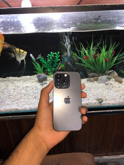 Iphone 14pro