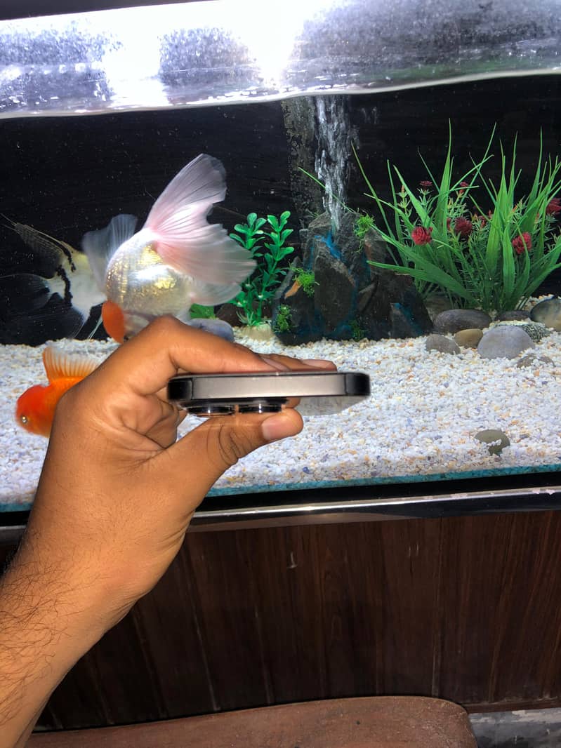 Iphone 14pro 5