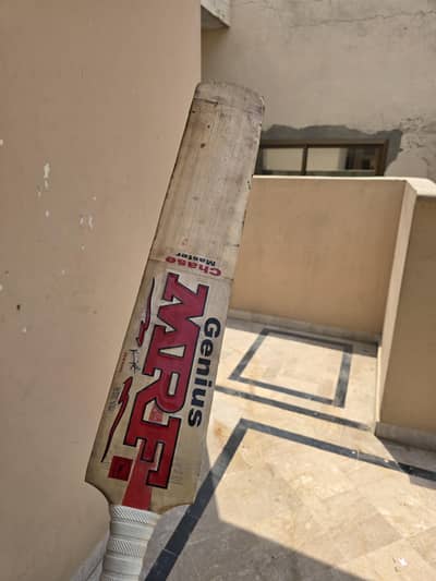 hard ball kashmir willow bat used