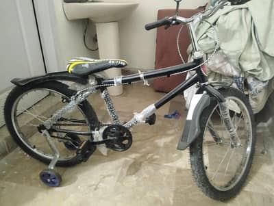 Bicycle in Mint Condition