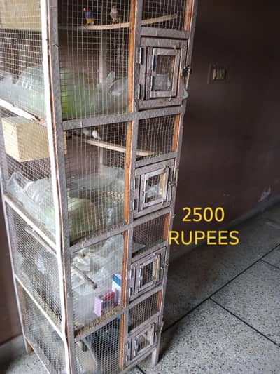 cage and acesisree for finches and bird