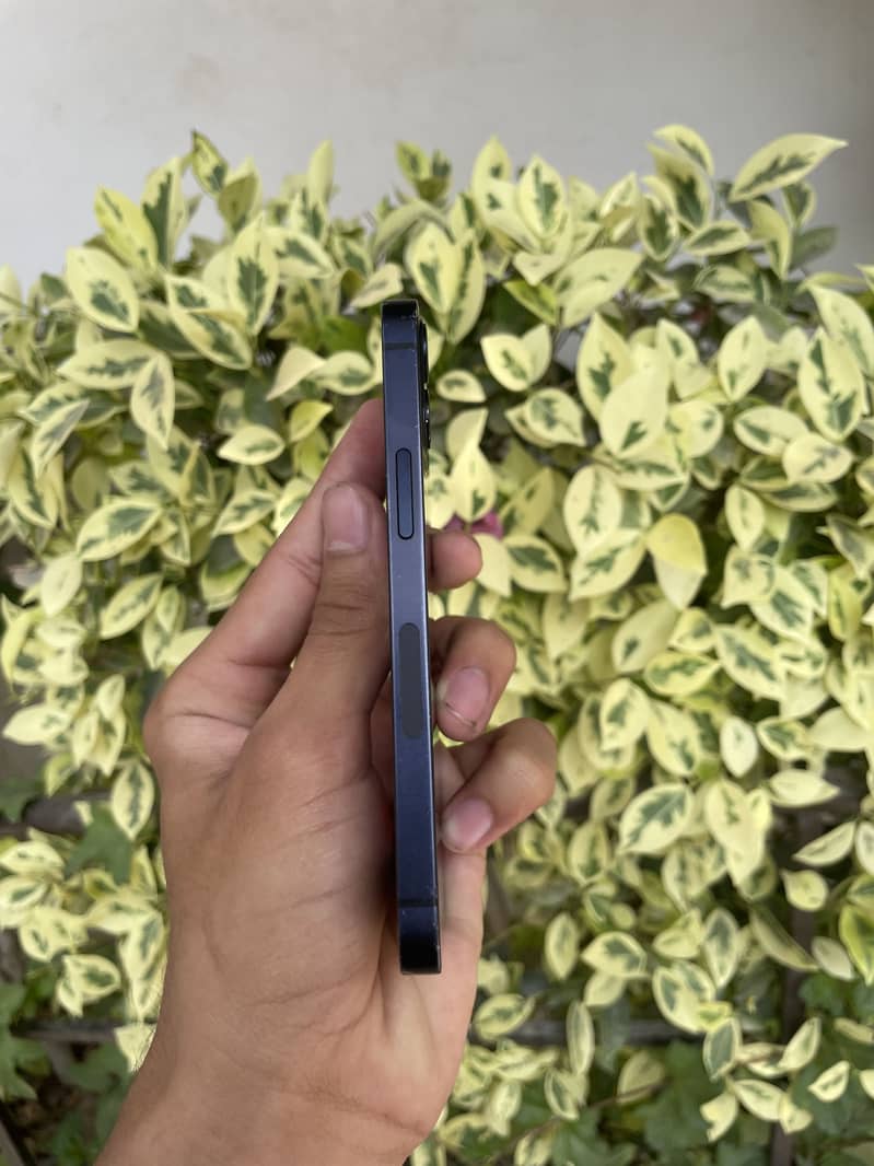 Iphone 12 mini 1