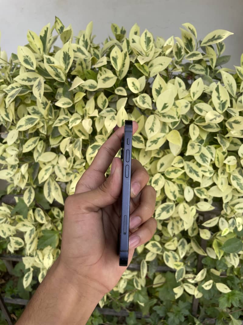 Iphone 12 mini 2