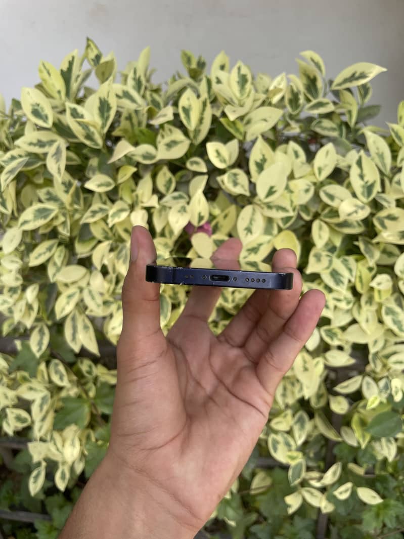 Iphone 12 mini 3