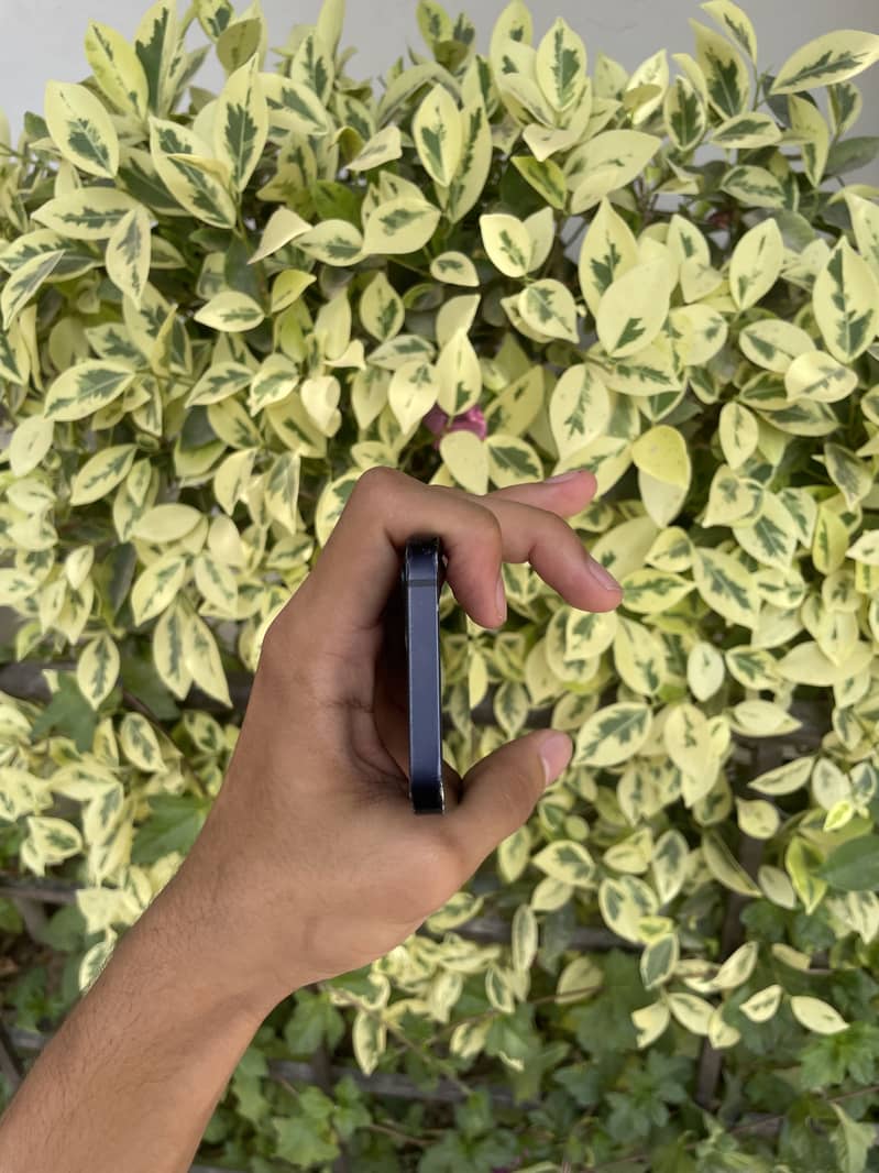 Iphone 12 mini 5