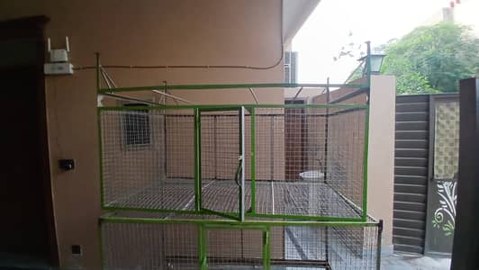 Big bird cage