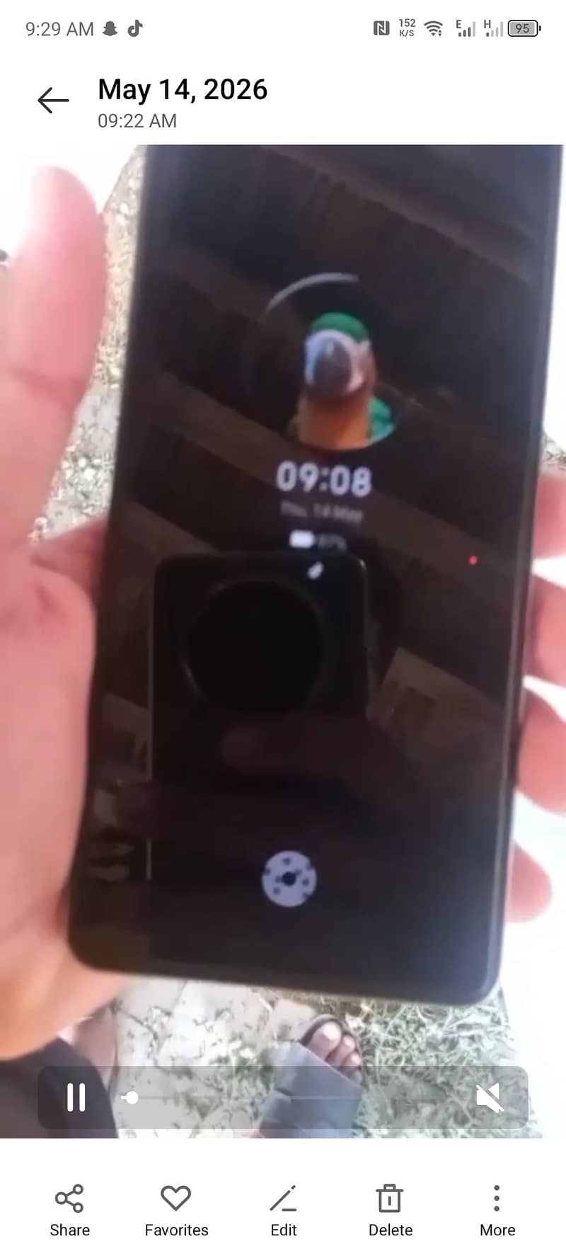 8.256gp 2
