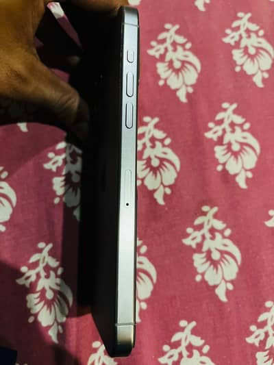 Apple Phone
