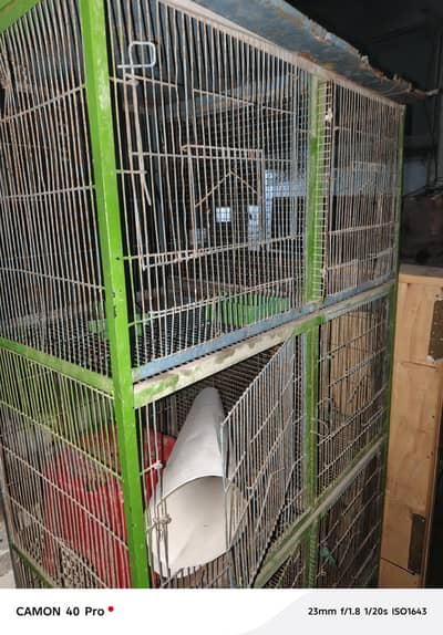 Cage for Urgent Sale